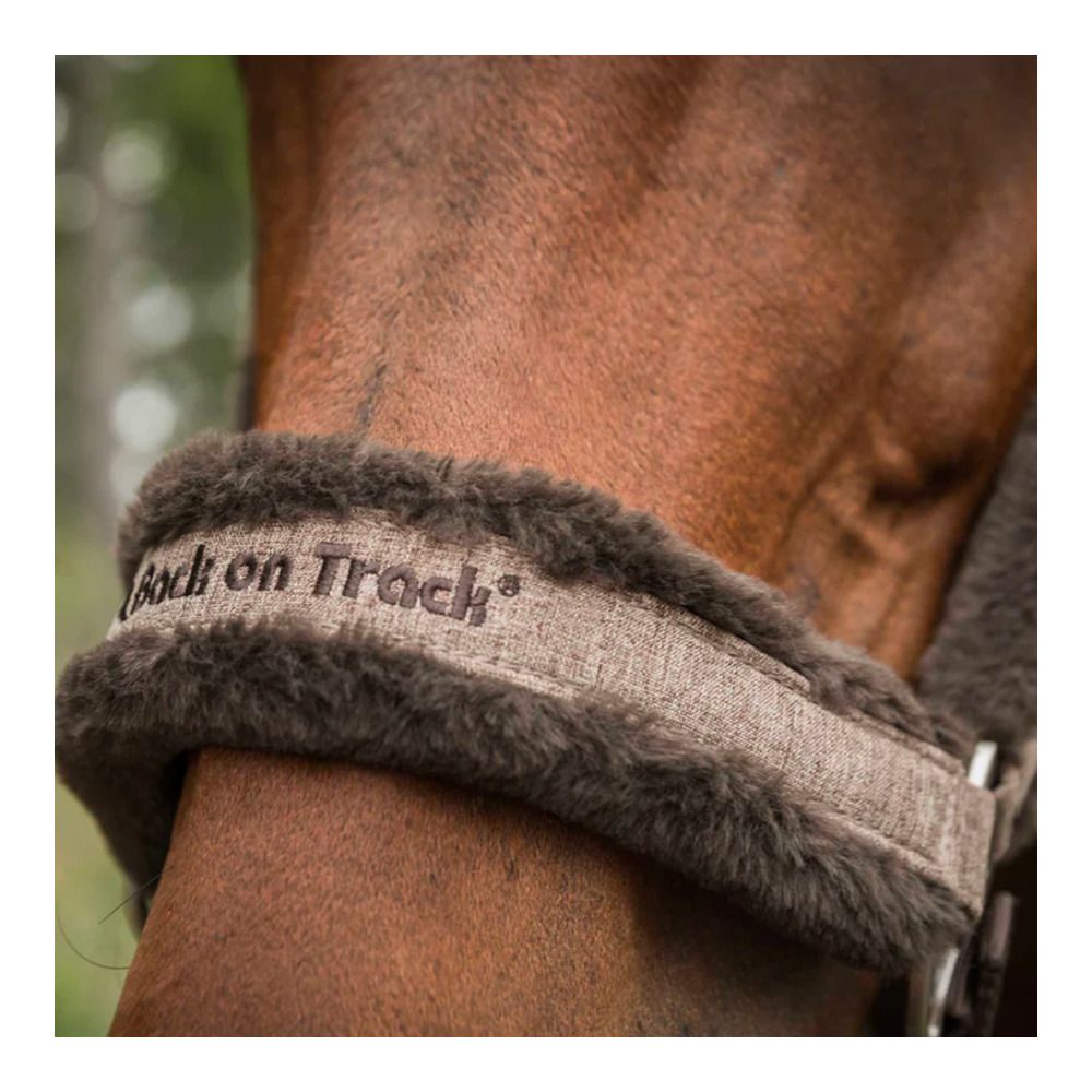 Back on Track HAZE COLLECTION - Licol marron