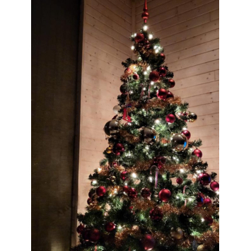 Christmas Goods kunstkerstboom Minnesota met LED verlichting 210 cm