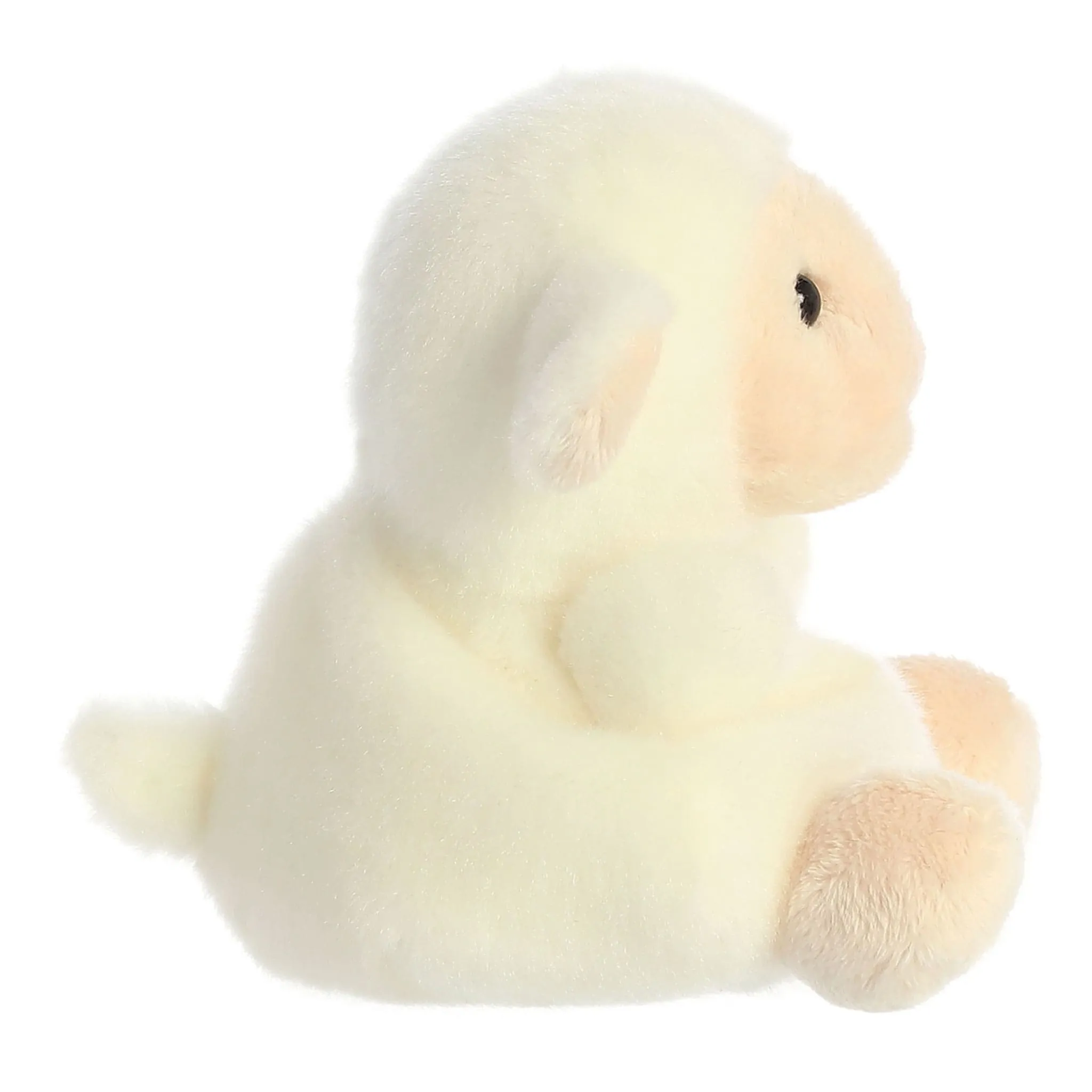 Aurora Mouton Woolly