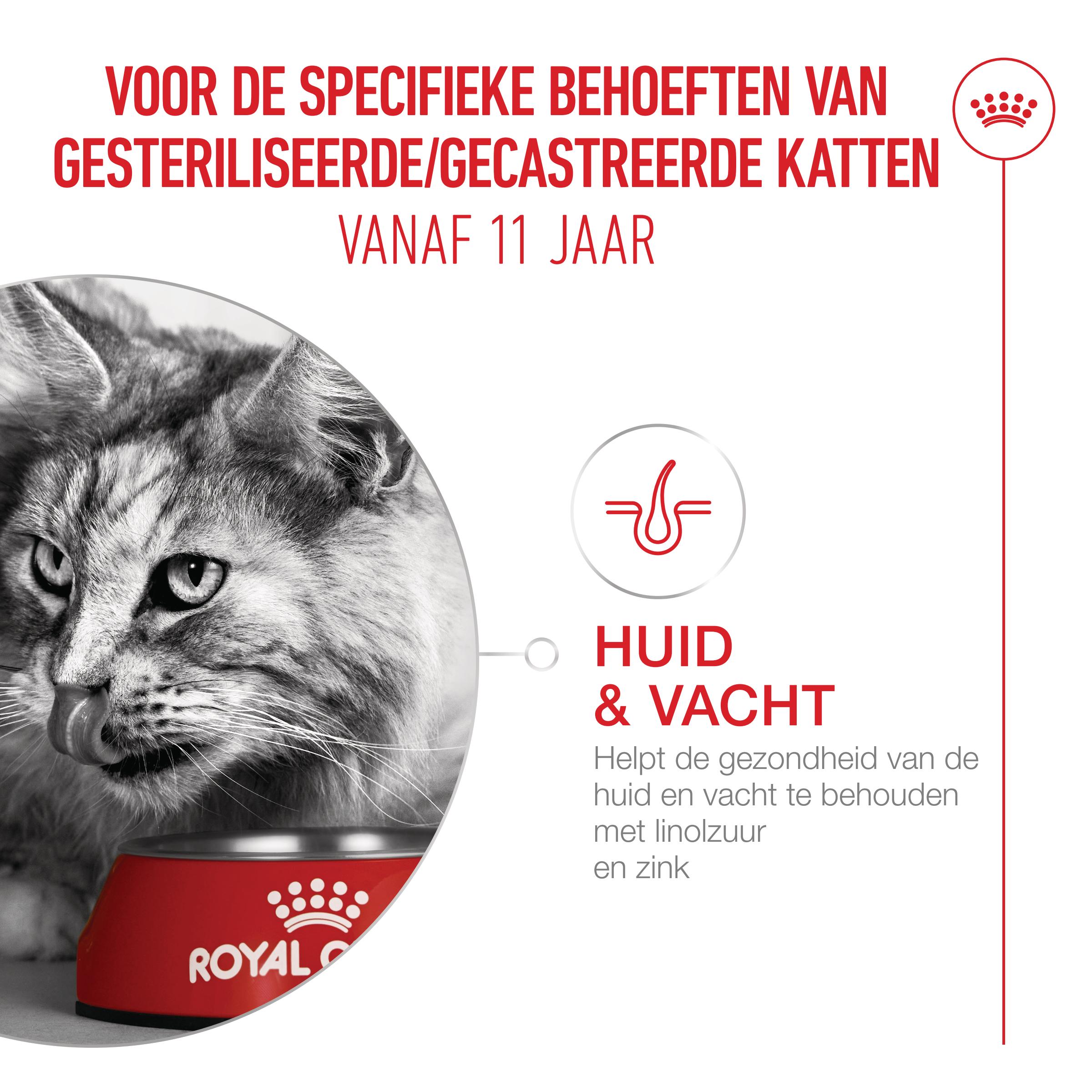 Royal Canin Ageing Sterilised 11+ - Kattenvoer