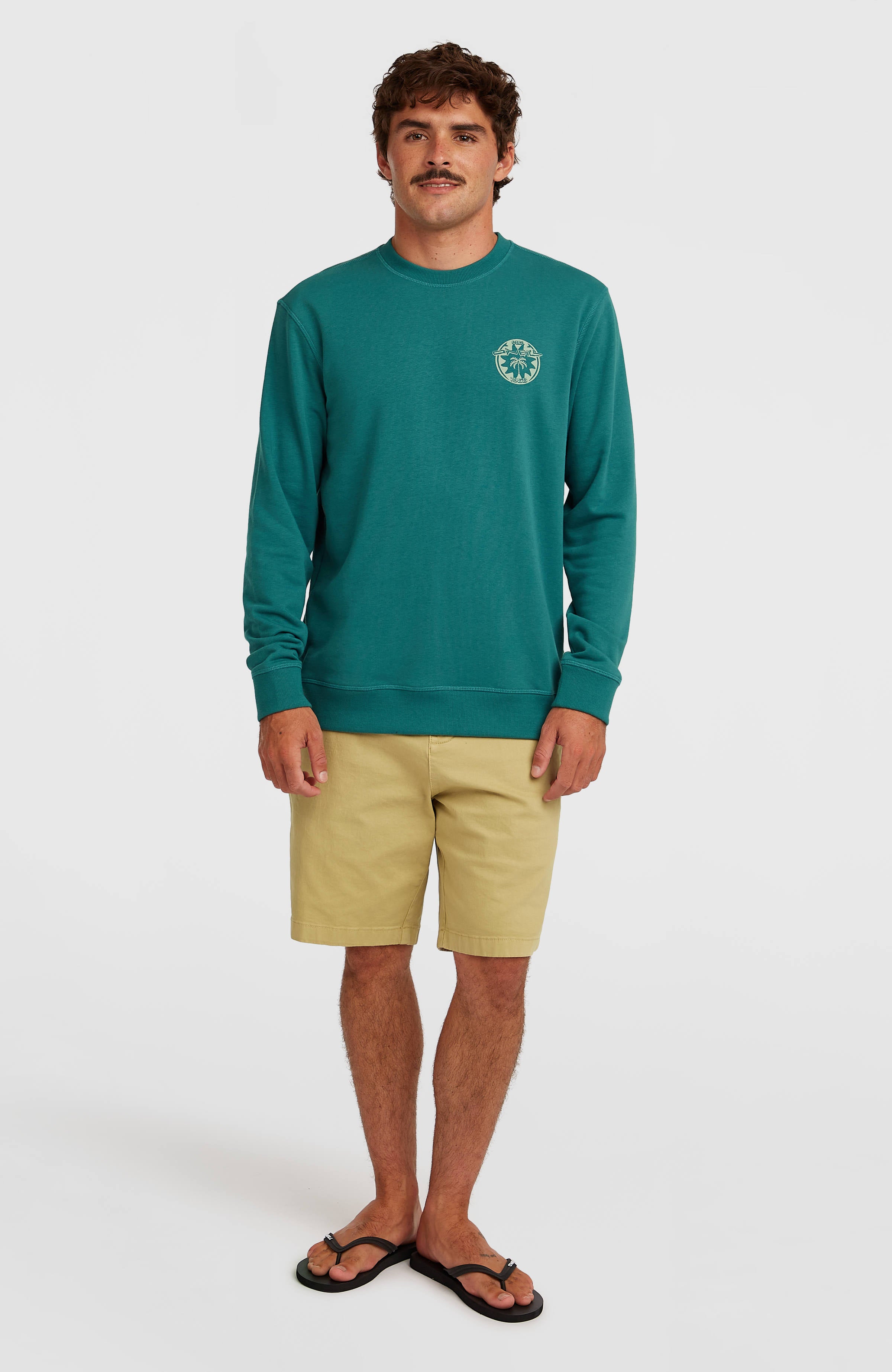 O'Neill Must-Have Graphic Crew sweater