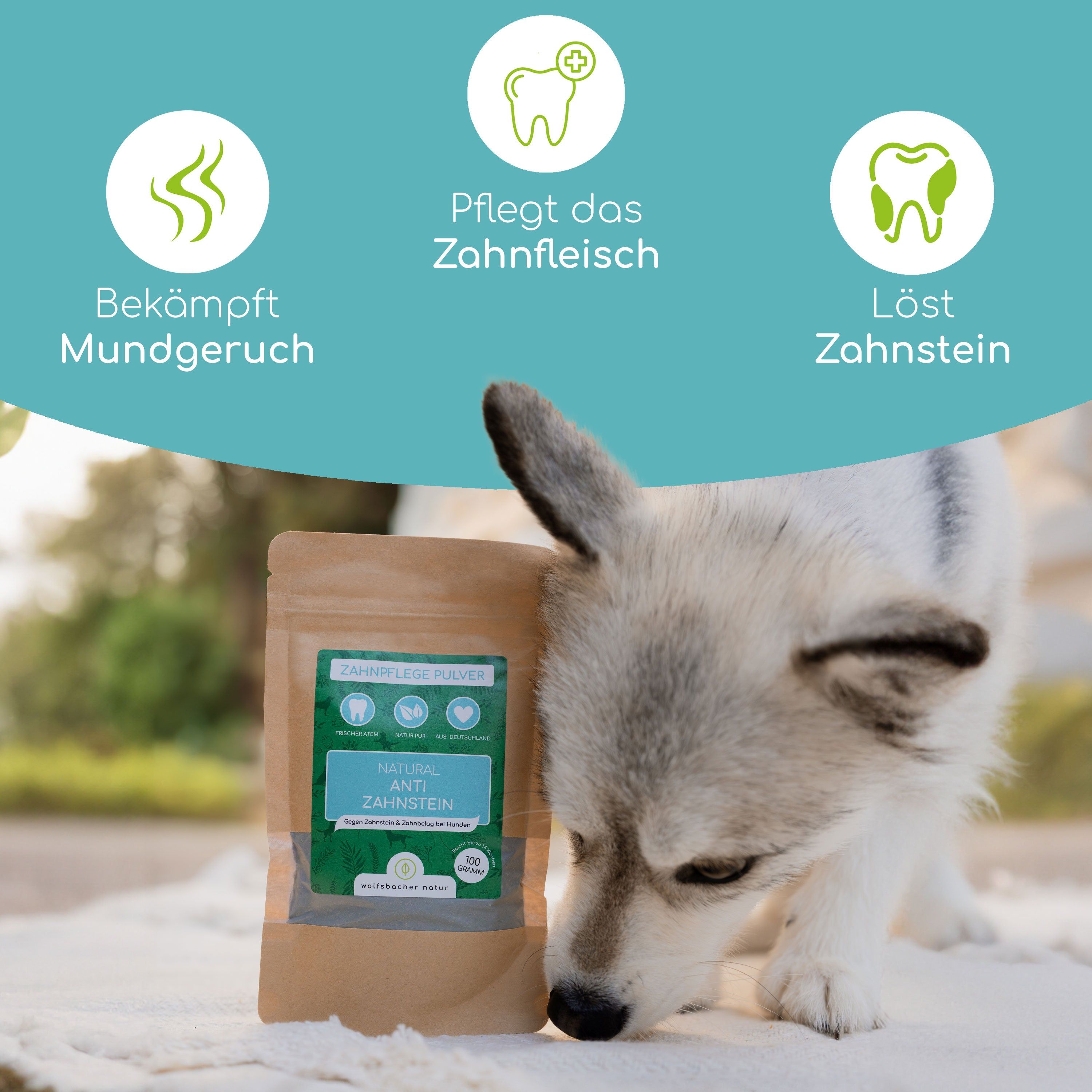 Wolfsbacher Natur Zahnpflege Pulver
