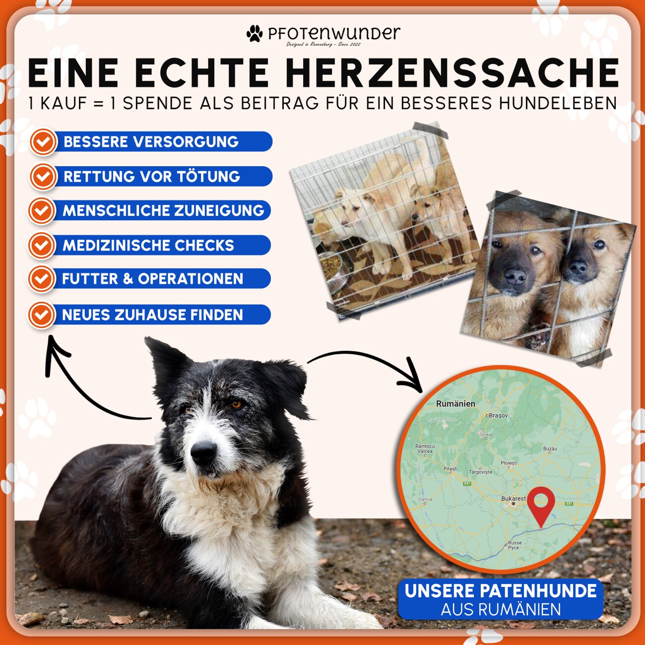 PfotenWunder® 9-in-1-Agility Set Hunde groß + 21 Min. HUNDESCHULE - 6 Slalomstangen, 1 Tunnel, für kleine & große Hunde, Training Sport Spielzeug Cavaletti Parcour Steckhürdenset Zubehör Hürden