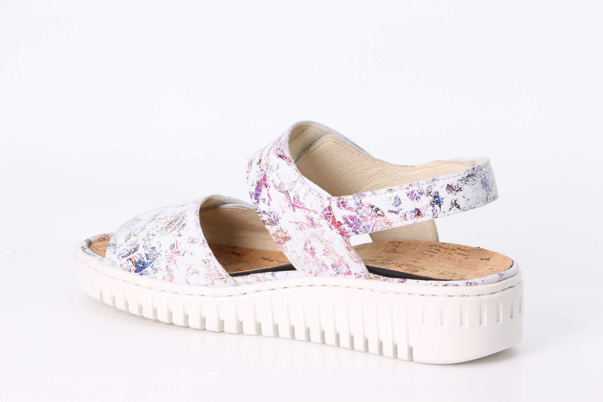 Willow multi