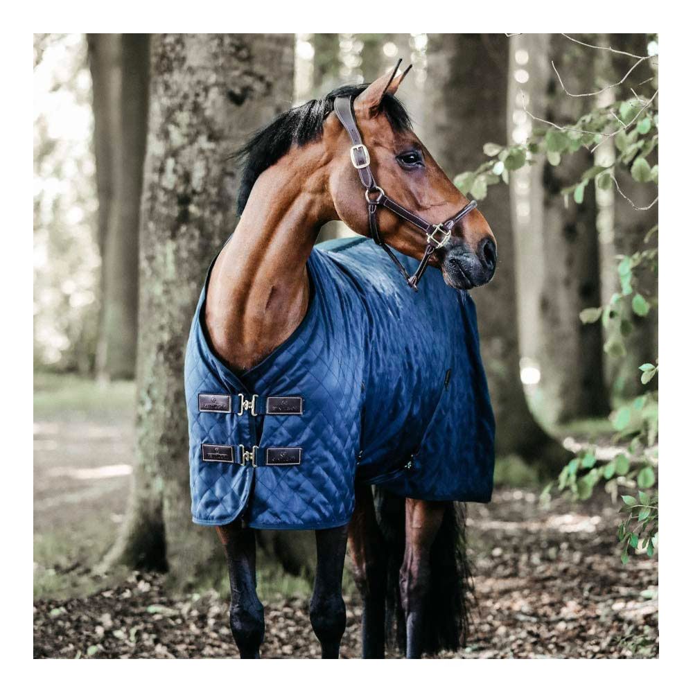 Kentucky 52124 - Chemise d'écurie navy