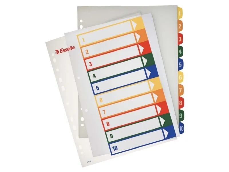 Register PC printbar Esselte PP A4 maxi Flerfarvet - (10 stk.)