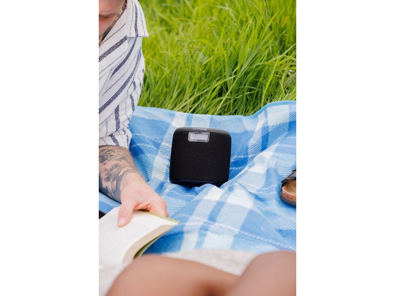 Pure Radio Woodland Mini Schwarz Kompakter Outdoor-Lautsprecher