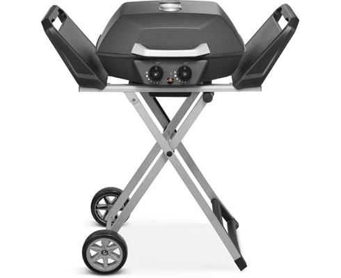 Austin and Barbeque AABQ - Superior Portable 2 Burner Gas Grill