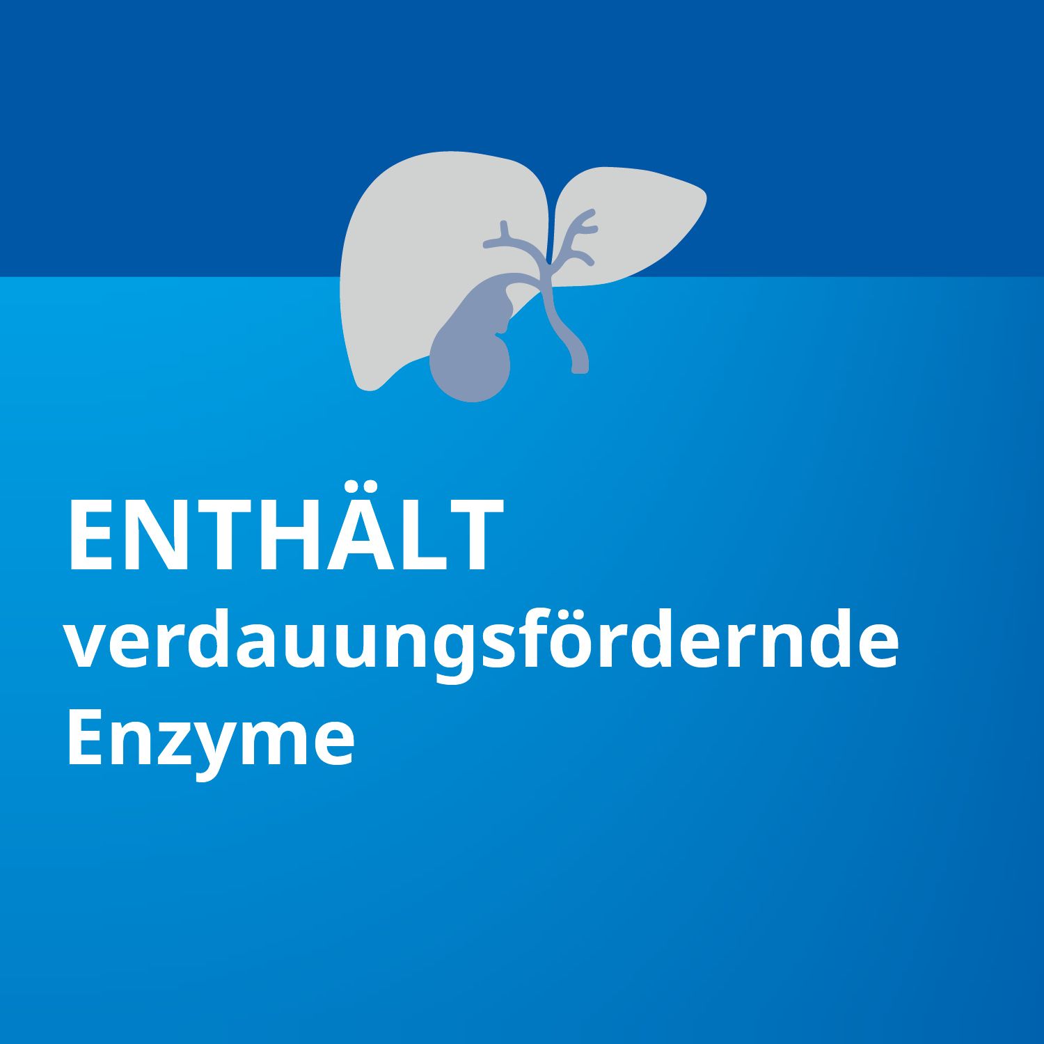 Pankreatin STADA® 20.000, bei exokriner Pankreasinsuffizienz