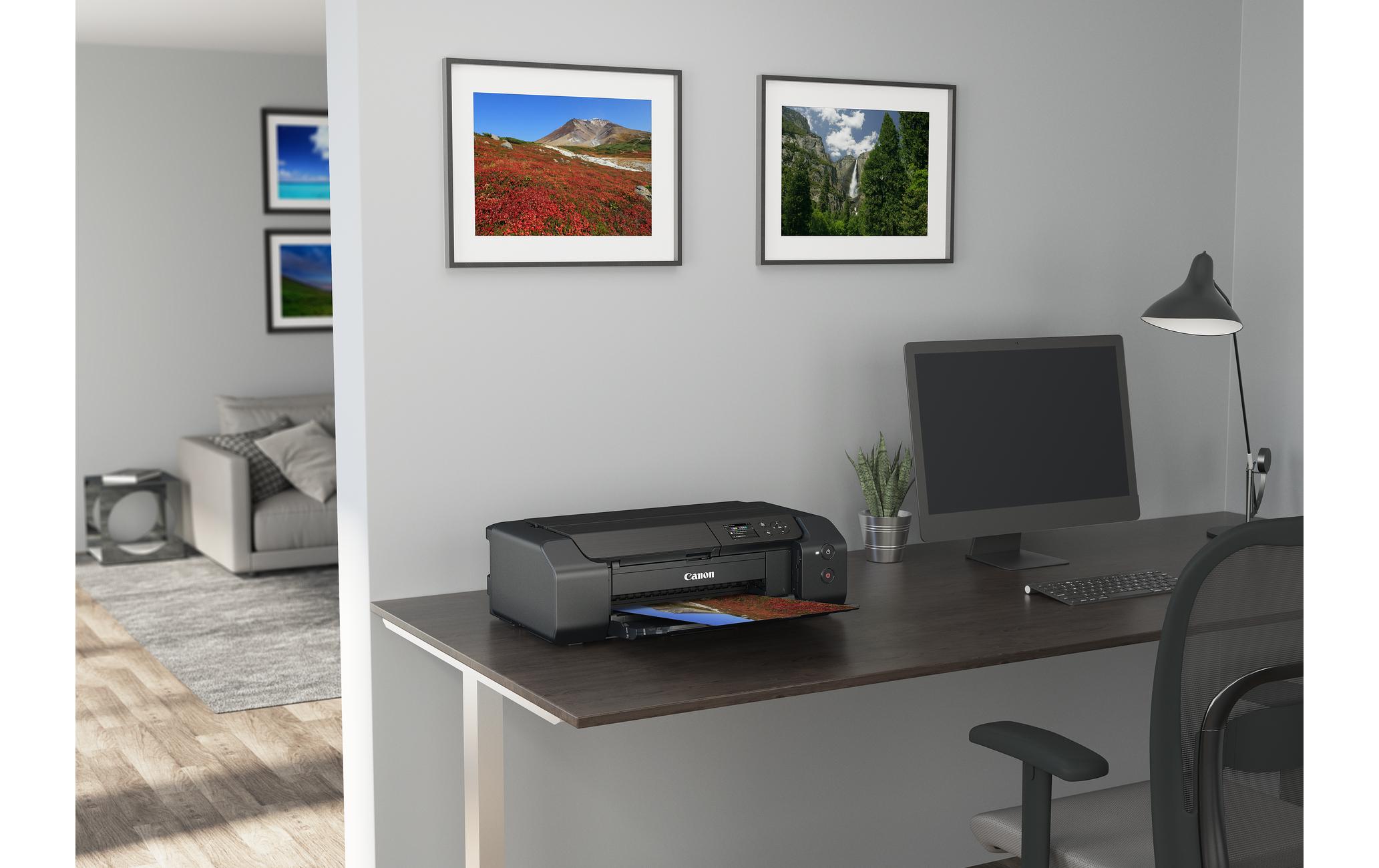 Fotodrucker PIXMA PRO-200S<br>Fotodrucker mit LAN Anschluss