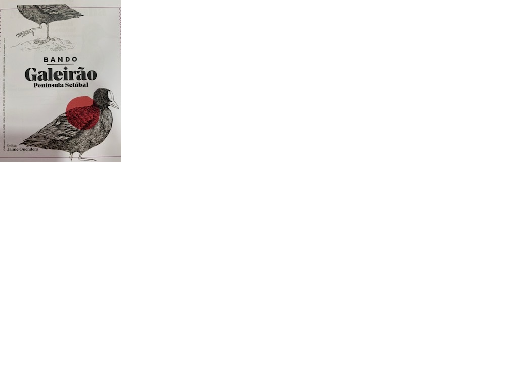 VINHO ROSÉ BANDO GALEIRÃO SETÚBAL 0.75L