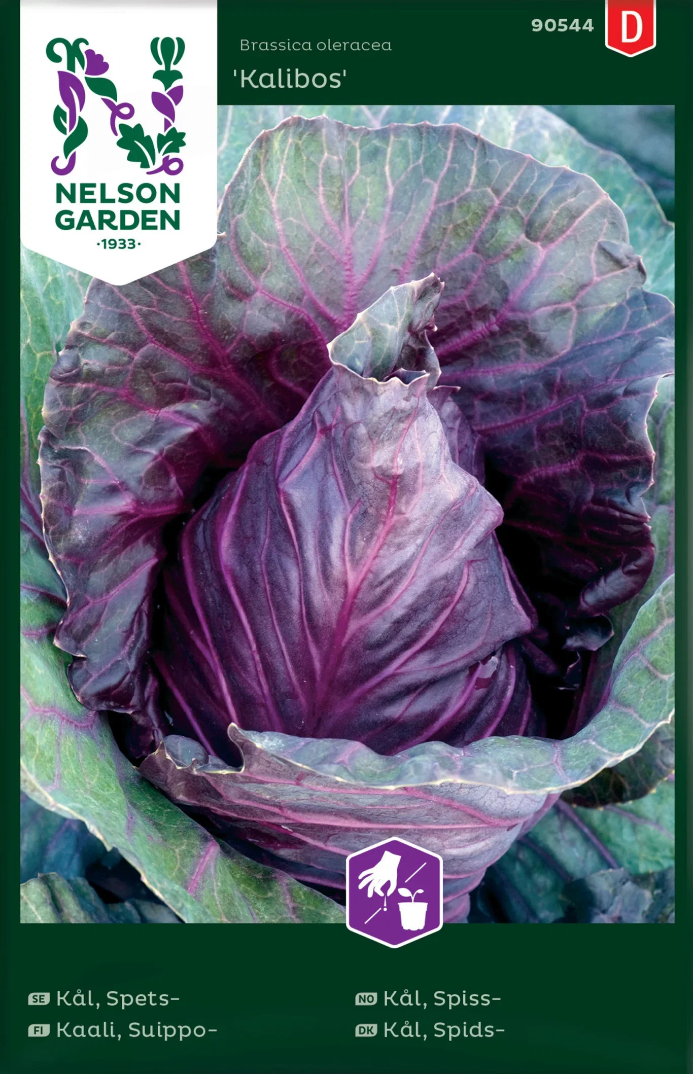 Brassica oleracea 'Kalibos' Spisskål 'Kalibos'