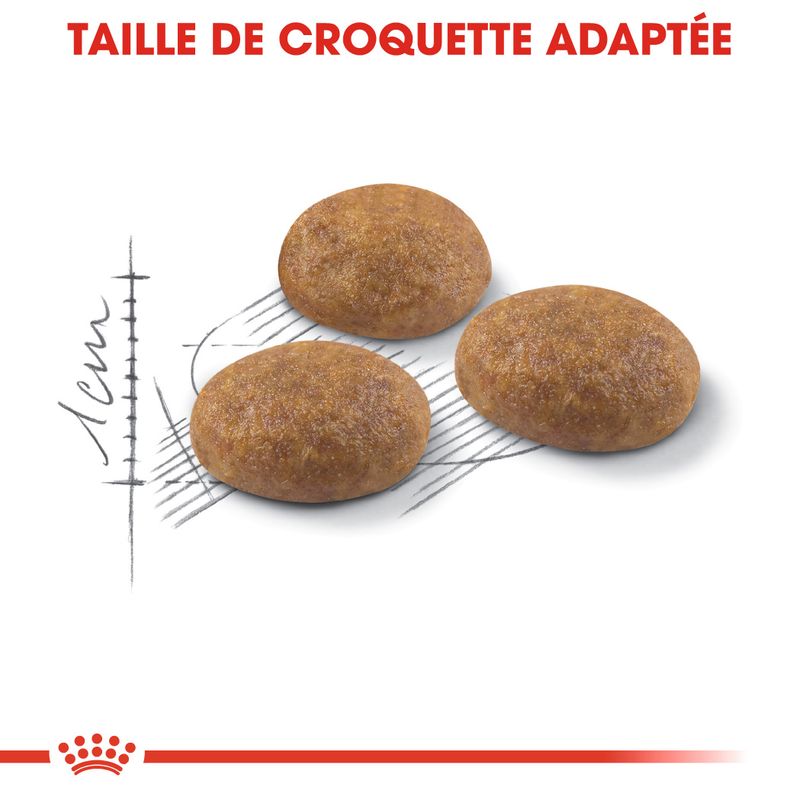 Royal Canin Active Life Outdoor à prix discount sur bitiba.fr