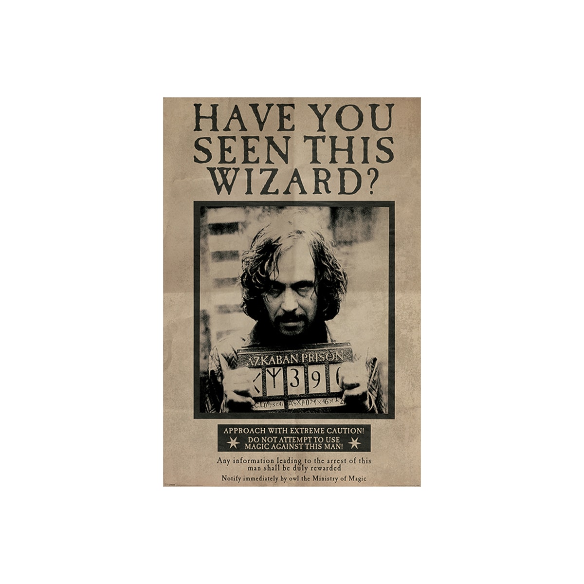 Harry Potter plakat Wanted