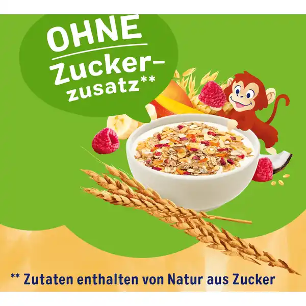 Bio Kinder-Früchte-Müsli