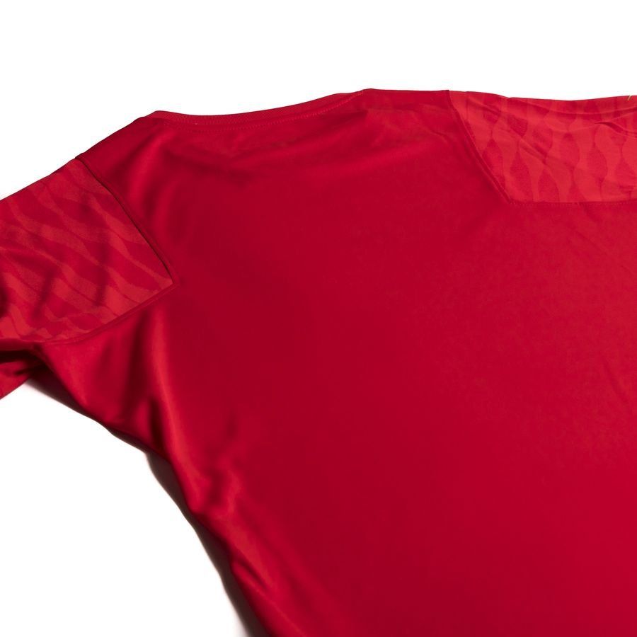 Nike Maillot Dri-FIT Strike 21 - Rouge foncé/Noir/Vert Femme