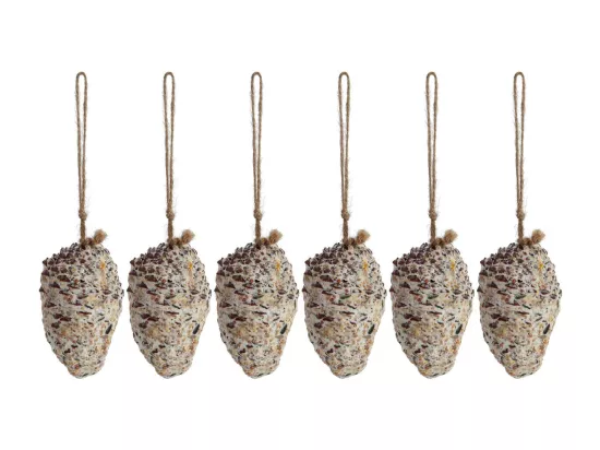 Pomme de pin fourrée de graines et graisse pour oiseaux Lot de 6