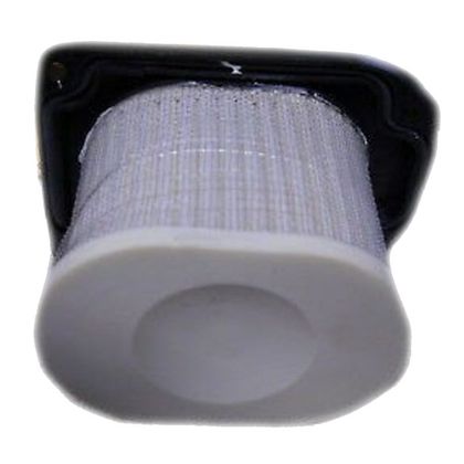 Filtre à air Emgo Type Adaptable