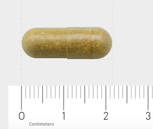 Orthica Multi Probiotica Capsules 60VCP
