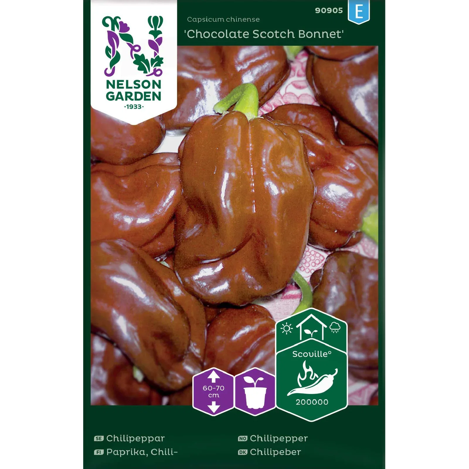 Capsicum chinense 'Chocolate Scotch Bonnet' Havannapepper 'Chocolate Scotch Bonnet'