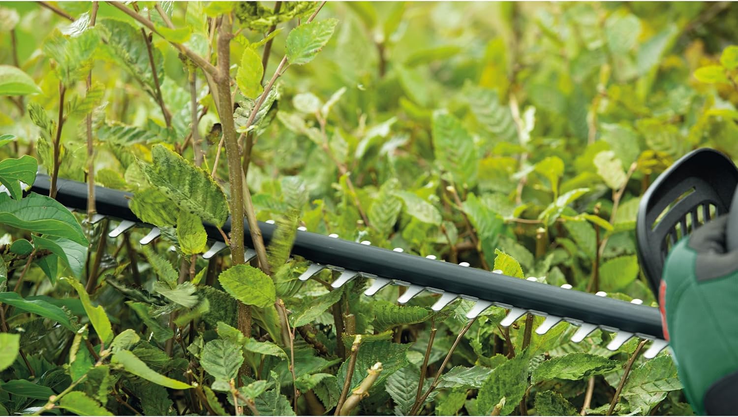 Bosch Heckenschere UniversalHedgeCut 50 (480 Watt, Messerlänge: 50 cm, für mittelgroße Hecken, Messerabstand: 26 mm, im Karton)