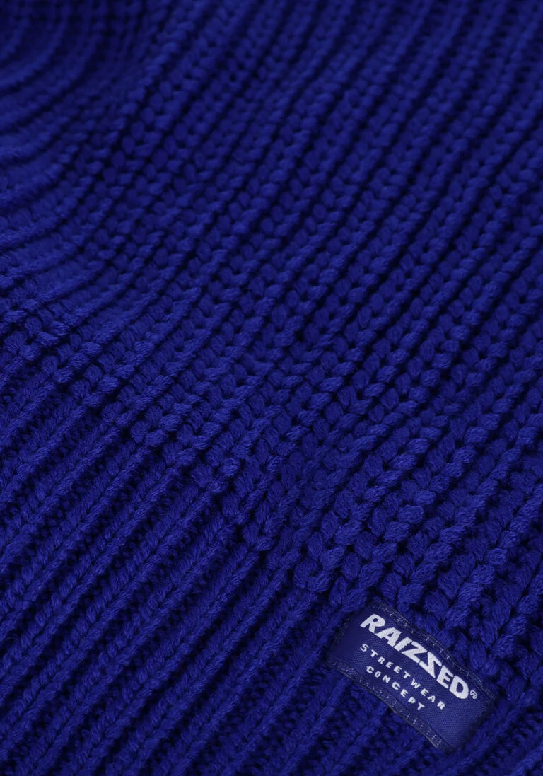 RAIZZED blauwe raizzed trui derby