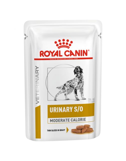 Royal Canin Veterinary Diet Urinary S\/O Moderate Calorie Wet - Hondenvoer - 100 g