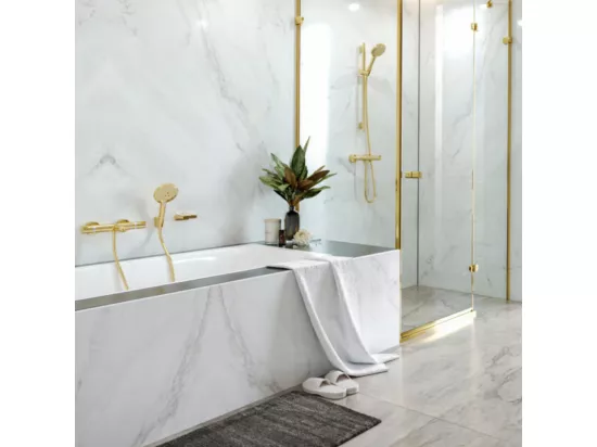 Pommeau de douche HANSGROHE Raindance Select S EcoSmart 120 3 jets aspect doré poli