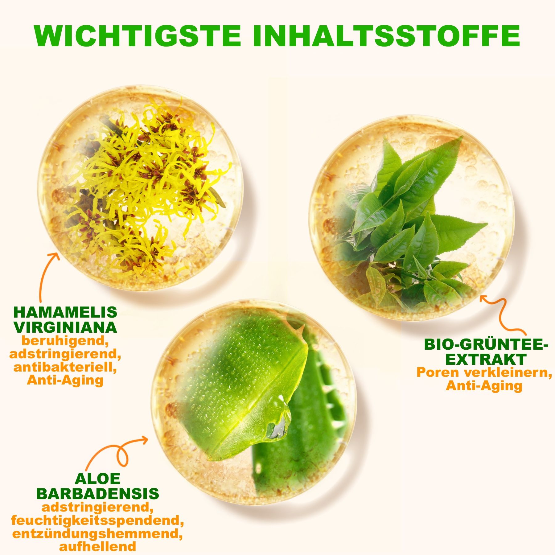 P-Beauty Gesichtsserum mit Vitamin C