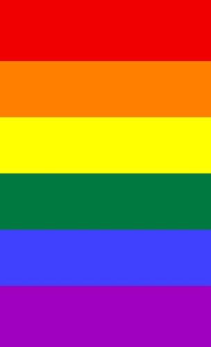 LGBTQ+ Pride Rainbow Flag Journal - Flags of the World 2 (Hardback)