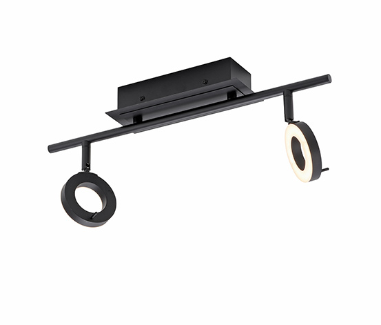 Paul Neuhaus LED-Deckenleuchte »Sileda«, klein