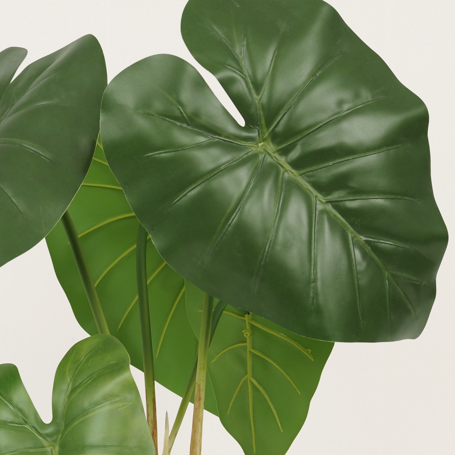 Plante taro artificiel en pot céramique 55cm