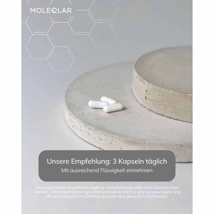 Moleqlar Taurin high Dose L-Taurine Kapseln, 90 St