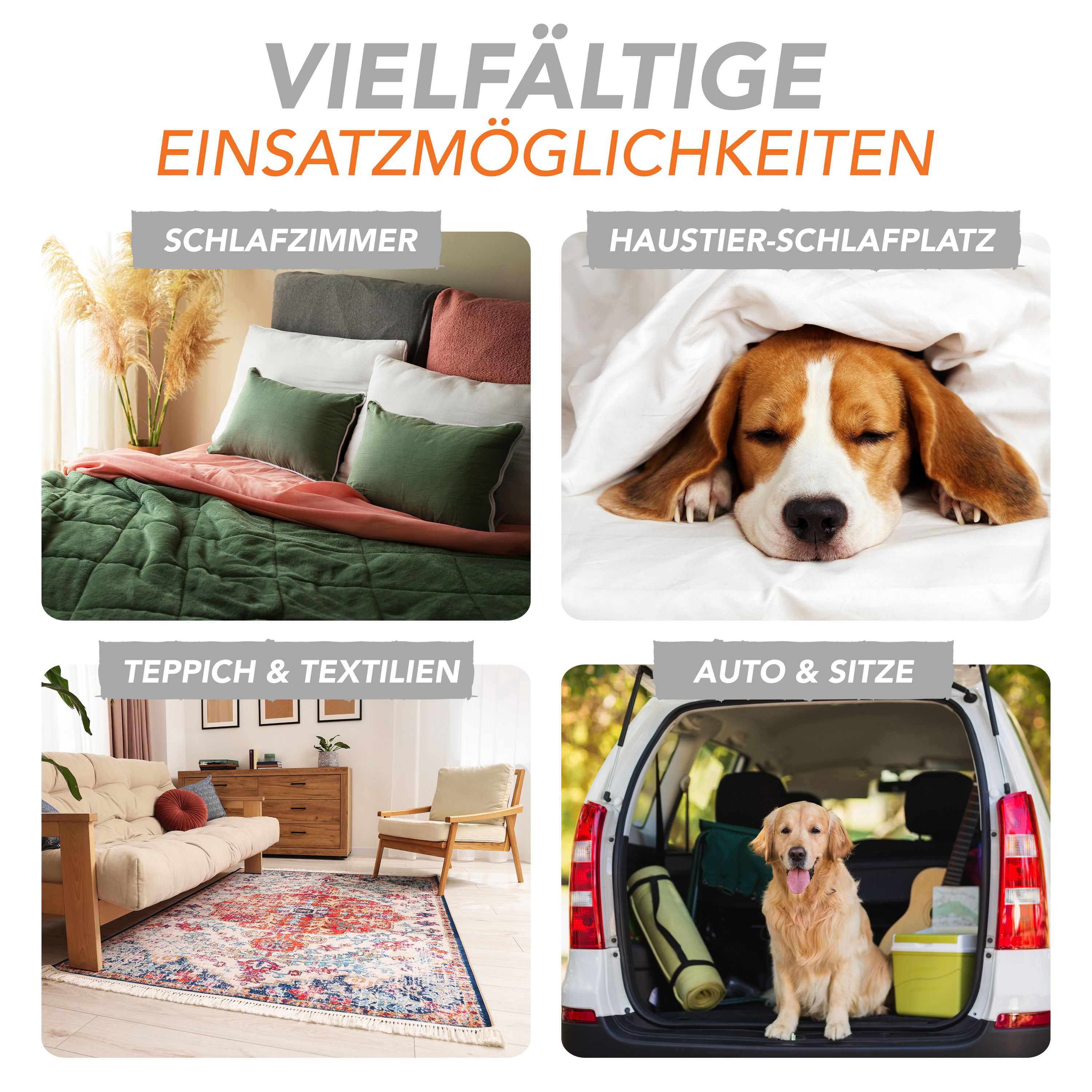 FUTUM 5L Silberfisch- / Asselspray + TRIGGER