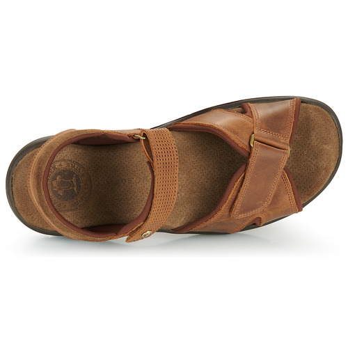 Panama Jack - SANDERS BASICS C4 Cuero