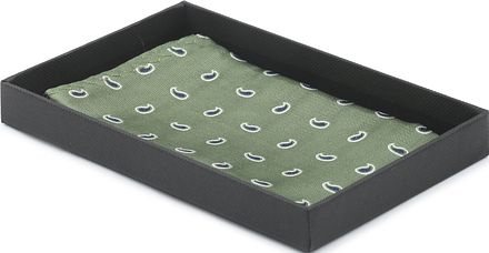 Suitable Zijde Pochet Paisley Groen PO24-11 kopen