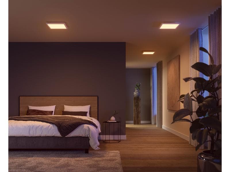 Philips Hue White & Color Ambiance Surimu Panelleuchte 30 x Flaches Hue Panel