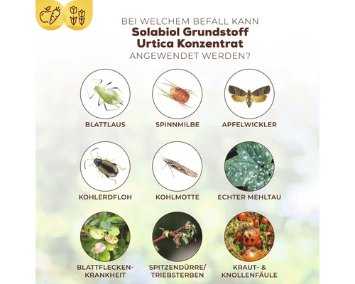 Urtica Solabiol plantenversterkend concentraat, 1 L tot 5 L spuitoplossing, 100 m²