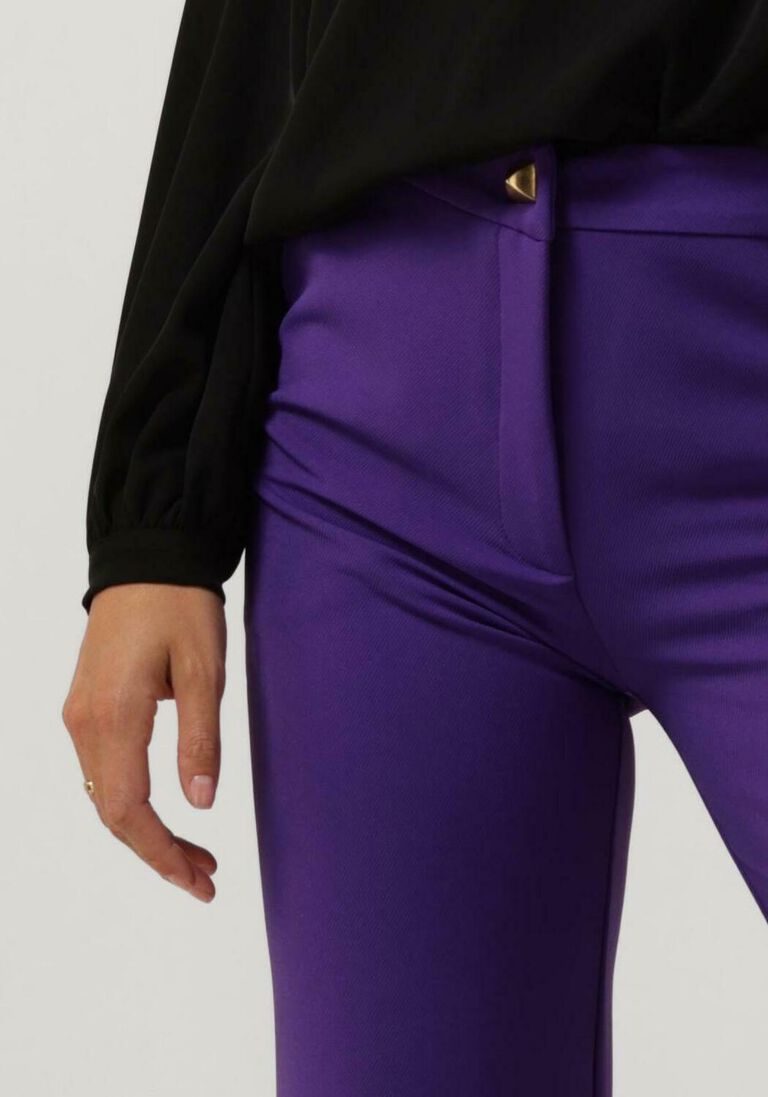 ACCESS paarse access pantalon flare pants with metallic stud d