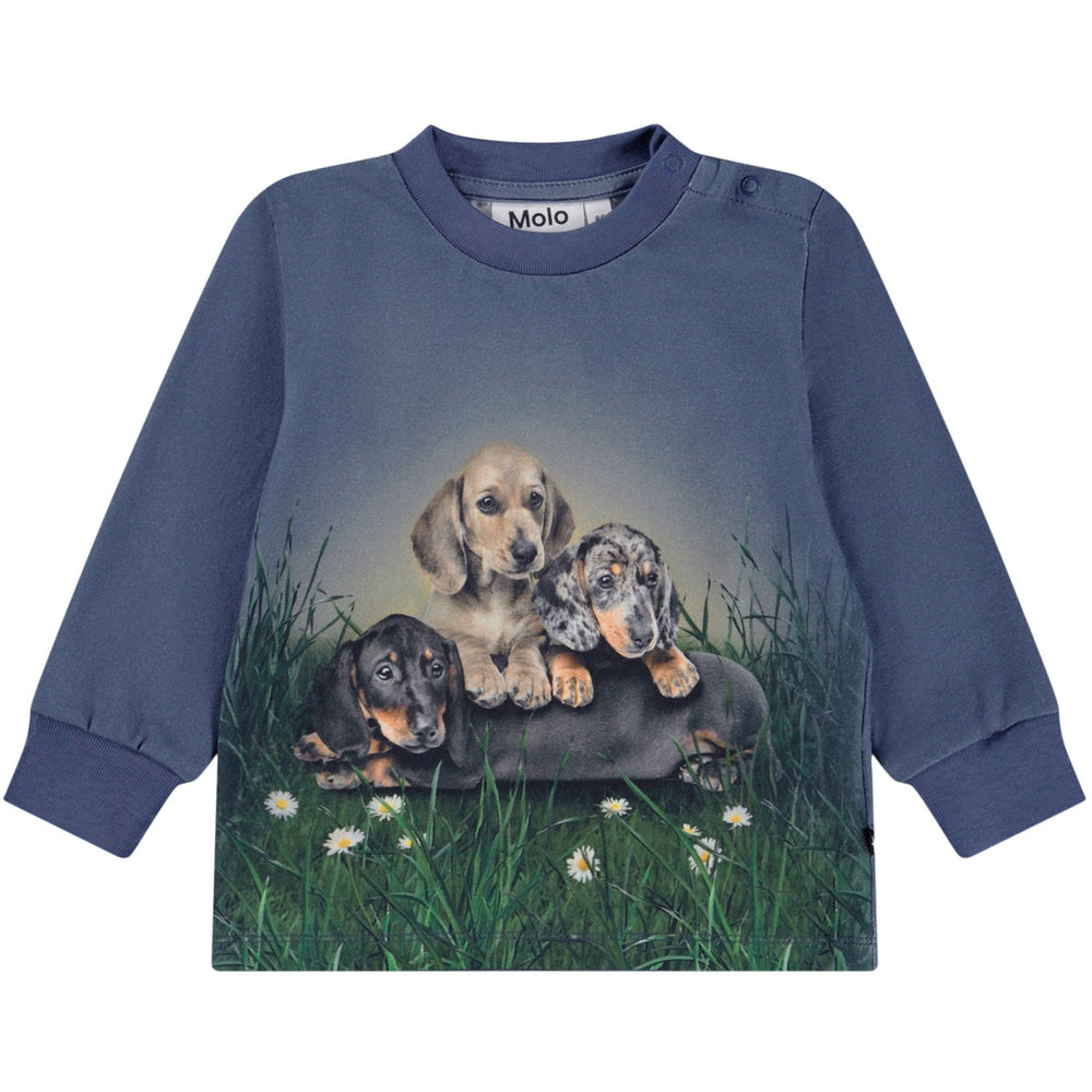 Køb Molo Dachshund Cubs Eloy Bluse
