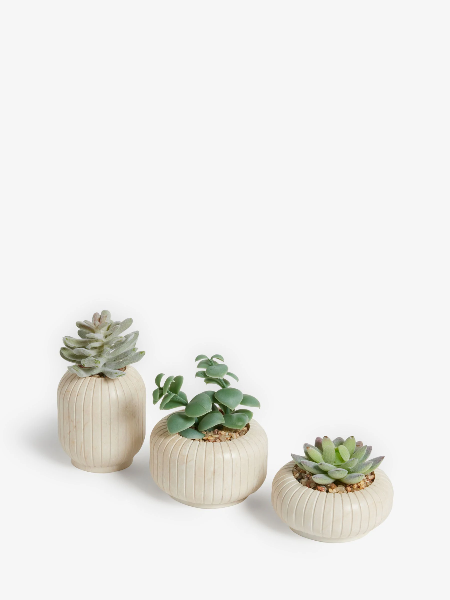 Set of 3 Succulents In Ribbed Plant Pots