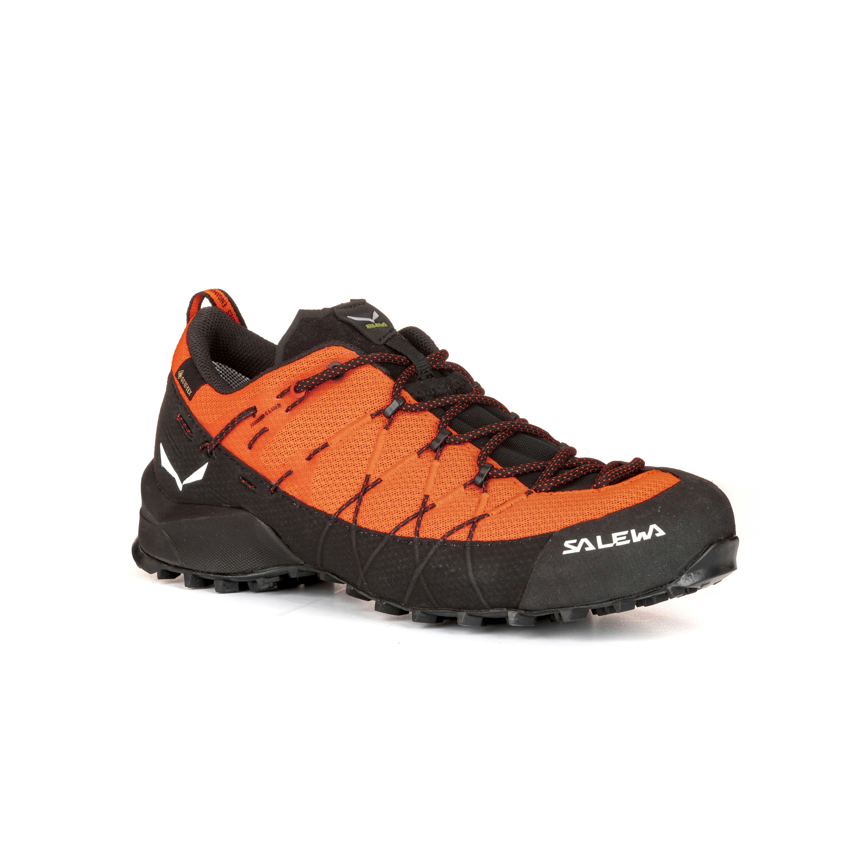 Wildfire 2 Gore-Tex® Schuh Herren