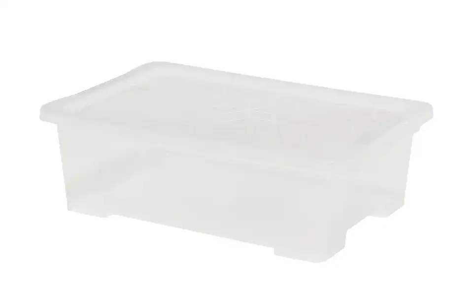 Rotho Aufbewahrungsbox 18,3 cm