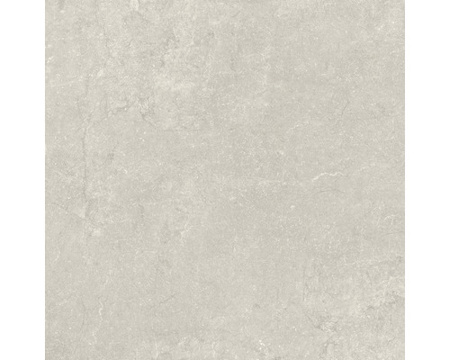 Porseleinen terrastegel Modern Betongrijs gerectificeerde rand 100 x 100 x 2 cm