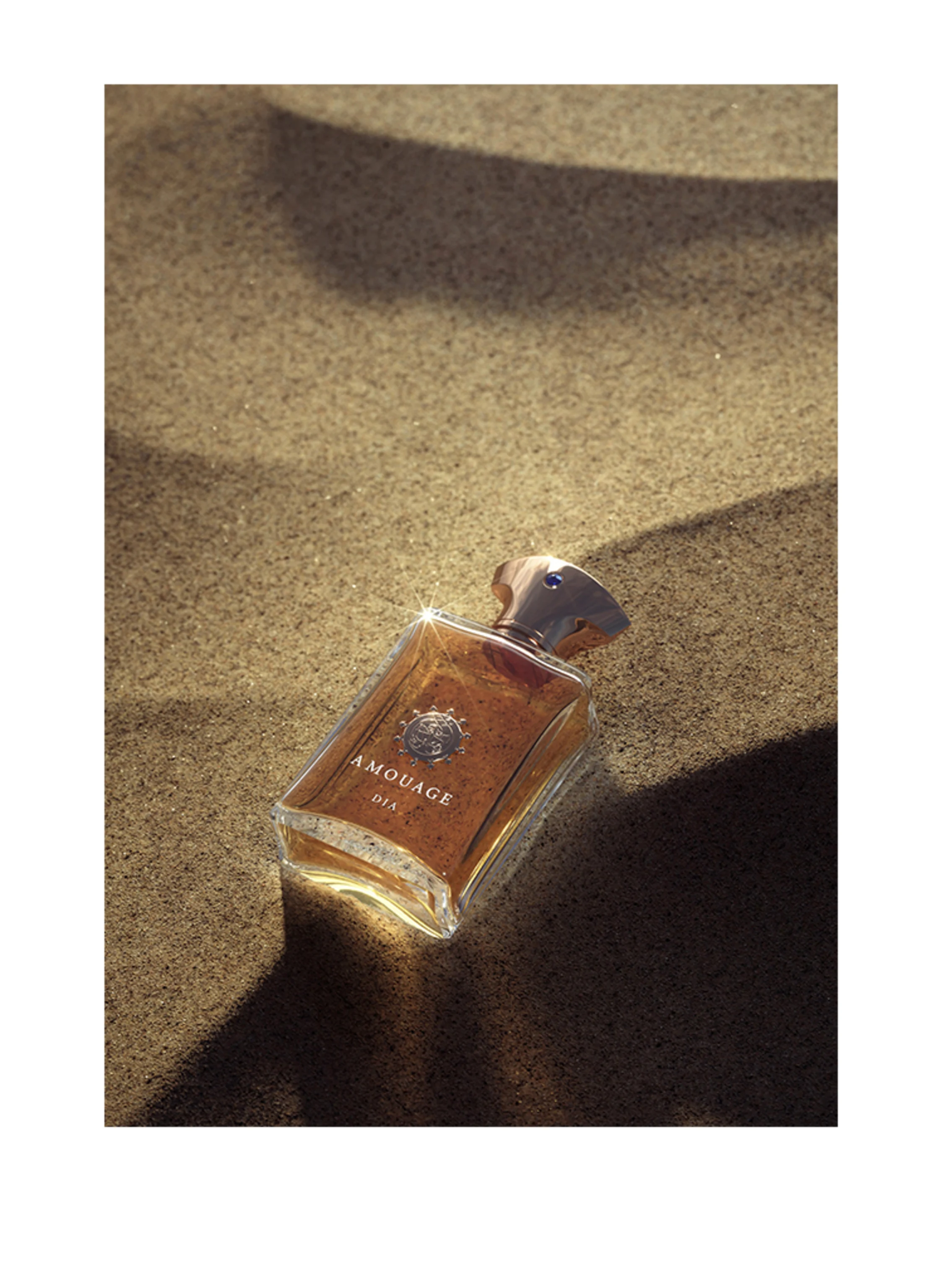 AMOUAGE DIA MAN