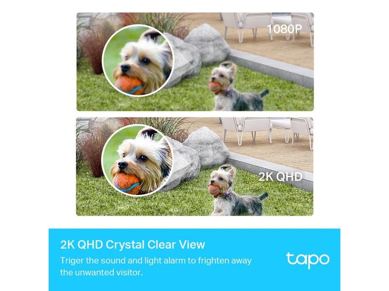 TP-Link Netzwerkkamera Tapo C420S2 Set 2×Tapo C420   1×Tapo Smart Wire-Free Security Camera System, 2-Kamera System
