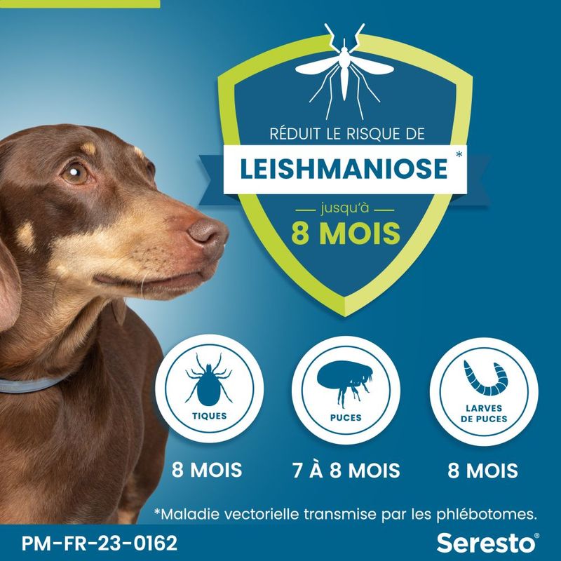 Collier antiparasitaire Seresto pour chien