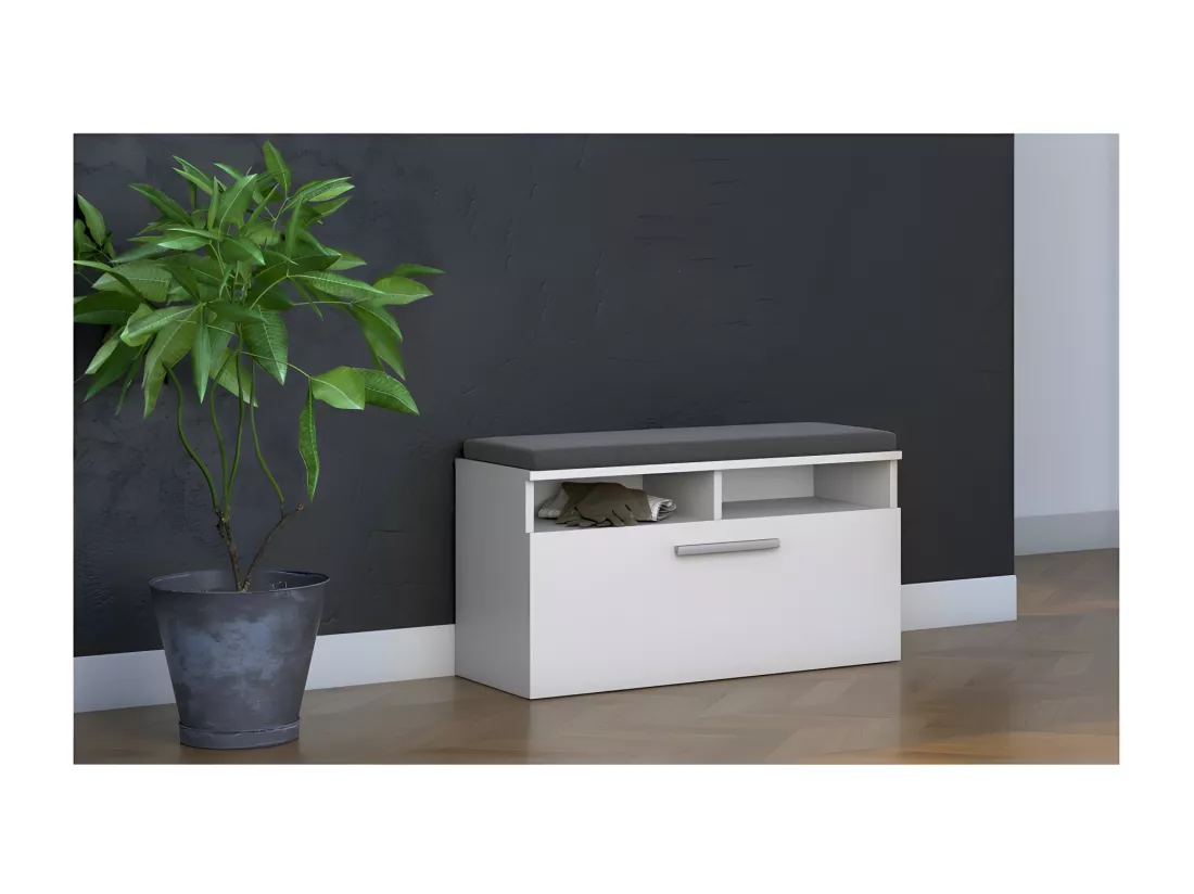 RIVI | Armoire à chaussures + siège + rangement | Porte basculante | 46x85x35 | 6 étagères | Meuble chaussures