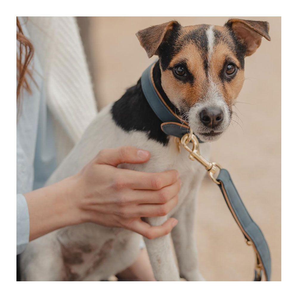 Kentucky CUIR VEGAN - Laisse pour chien navy/beige