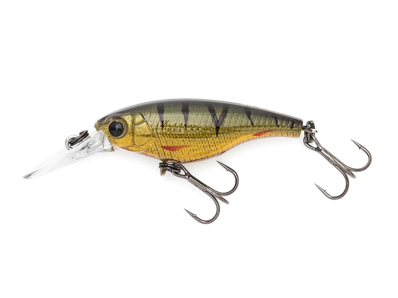 SX 40LC (373) Olive Perch